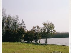 -上海海湾国家森林公园