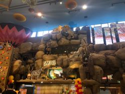 -卡通尼·Safari非洲探索乐园·生日会(金桥国际商业广场店)