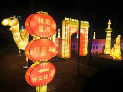 -南宫五洲植物乐园