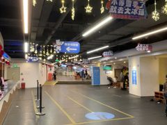 -世界之窗阿尔卑斯冰雪世界
