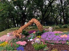 -广州市白云山风景名胜区