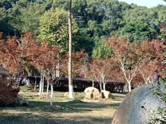 -广州市帽峰山景区