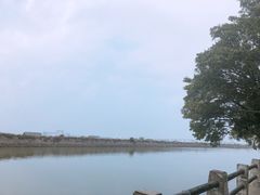 -大湾区中央湿地公园