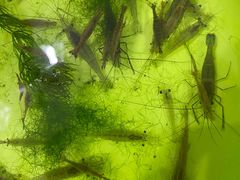 -九里河湿地公园