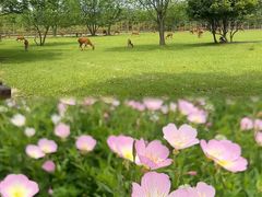 -良渚古城遗址公园
