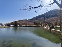 -南北湖风景区