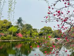 -无锡蠡湖国家湿地公园-蠡园