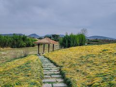 -良渚古城遗址公园