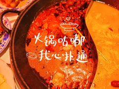 -朱光玉火锅馆(正弘城店)