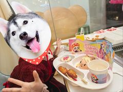 -海底捞火锅(名城广场夜宵生日主题店)