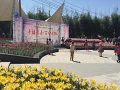 -长春公园(普阳街道)