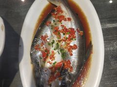 清蒸沙巴鱼-大家庭食尚餐厅