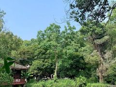 -桂林园博园