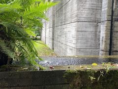 -鹿野苑石刻艺术博物馆