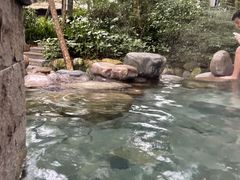 -青城道汤池
