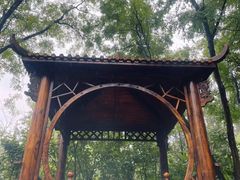 -太阳宫公园