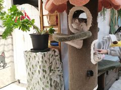 -小时光咖啡馆(北锣鼓巷店)