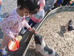 -前小桔亲子创意农场·草莓采摘·露营烧烤