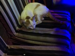 -星宿秘码(鼓浪屿老店)