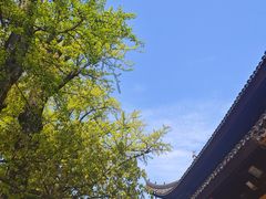 -西园寺素食(西园弄戒幢律寺店)