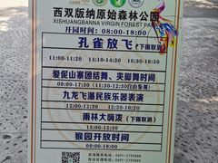 -西双版纳原始森林公园