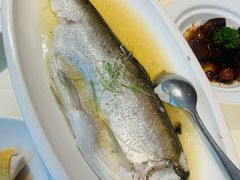 -席家花园(巨鹿花园店)