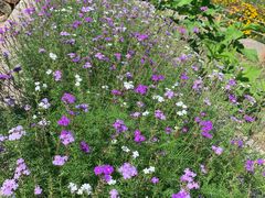 -国家植物园南园