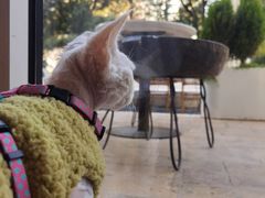 -翠贝卡&Mama Kelly Brunch Coffee(河西店)