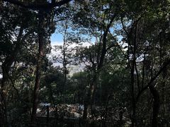 -云栖竹径