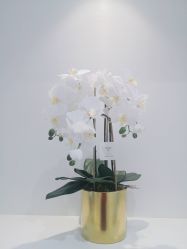 -MIVI半永久纹眉绣眉