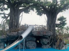 -九龙湖公园