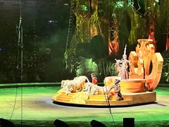 -广州长隆国际大马戏