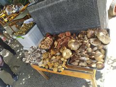-海韵人家.海景花园经典云南菜(双廊店)