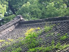 -吴山景区