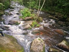-汤旺河林海奇石景区