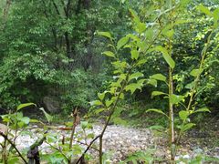 -玉渡山风景区-售票处