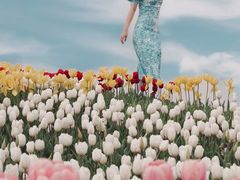 -杭州湾海上花田景区