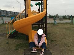 -南汇嘴观海公园