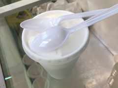 -洪馨椰子