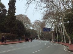 -武汉大学-樱园