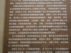 -王府井古人类文化遗址博物馆