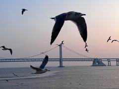 -星海广场