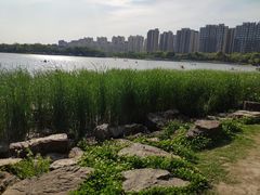 -南翔镇银翔湖公园