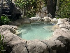 -天芳悦潭度假村温泉