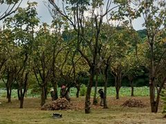 -福建鲤鱼洲酒店