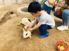 -前小桔亲子创意农场·草莓采摘·露营烧烤