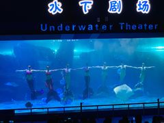 -泉城欧乐堡海洋极地世界