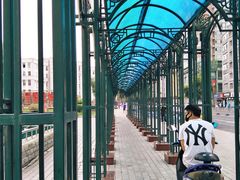 -圣·阿列克谢耶夫教堂