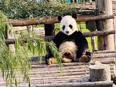 -西霞口神雕山野生动物世界