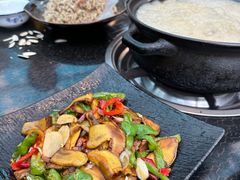 -蘑统田下·野生菌火锅